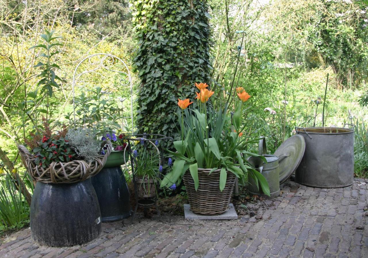 오쇼트 Huys En Hoff Aen Den Haspel B&B 외부 사진